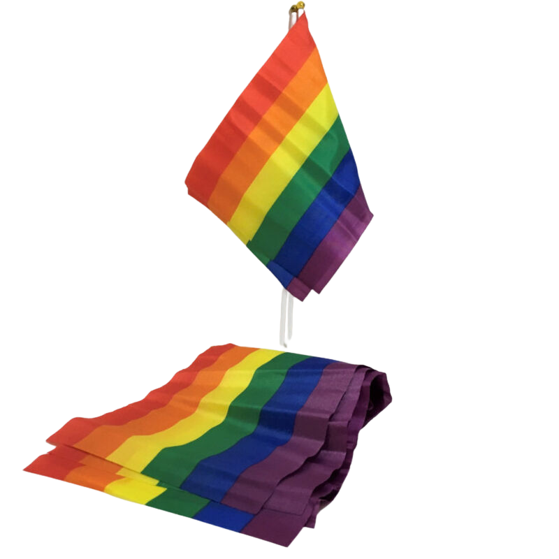 PRIDE mała flaga Pride na kijku